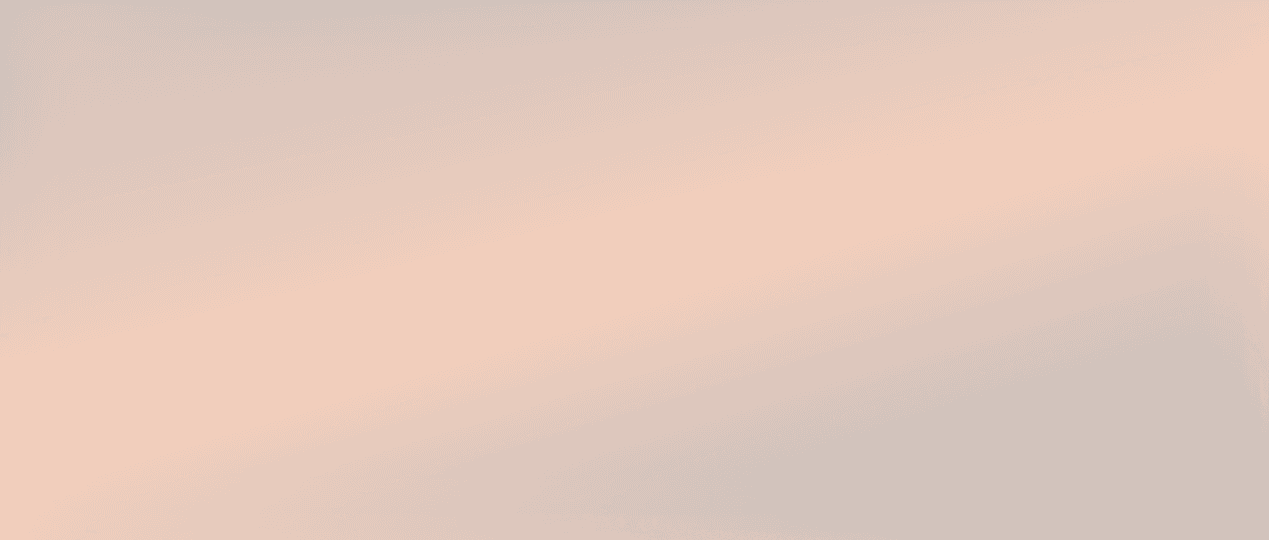 NetBird Gradient Fill