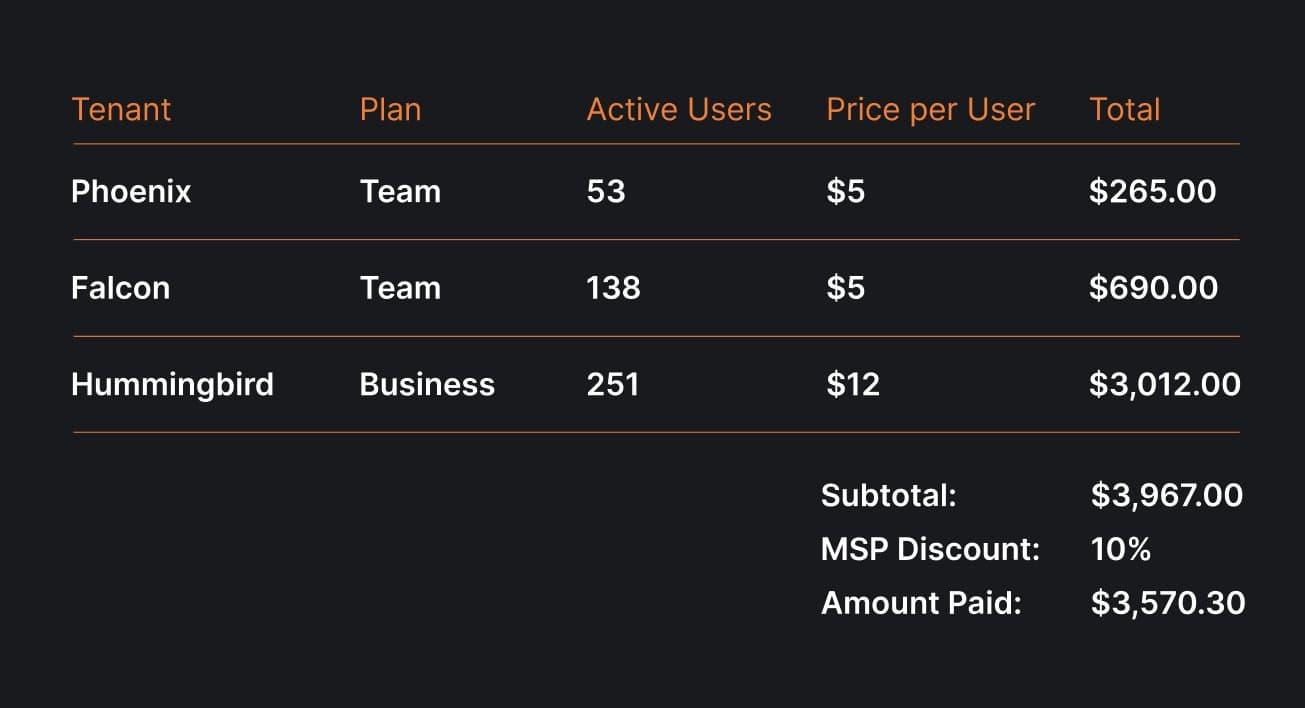 NetBird MSP Consolidated Invoicing