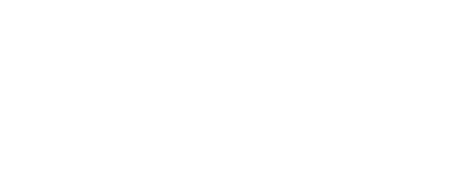 CrowdStrike NetBird Integration