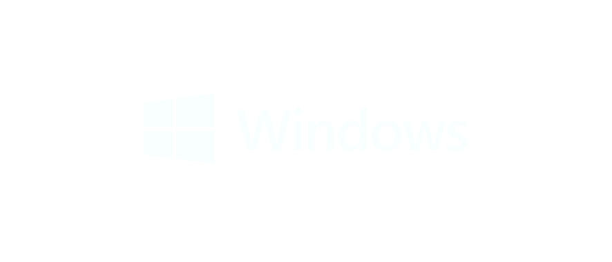 Windows NetBird Integration