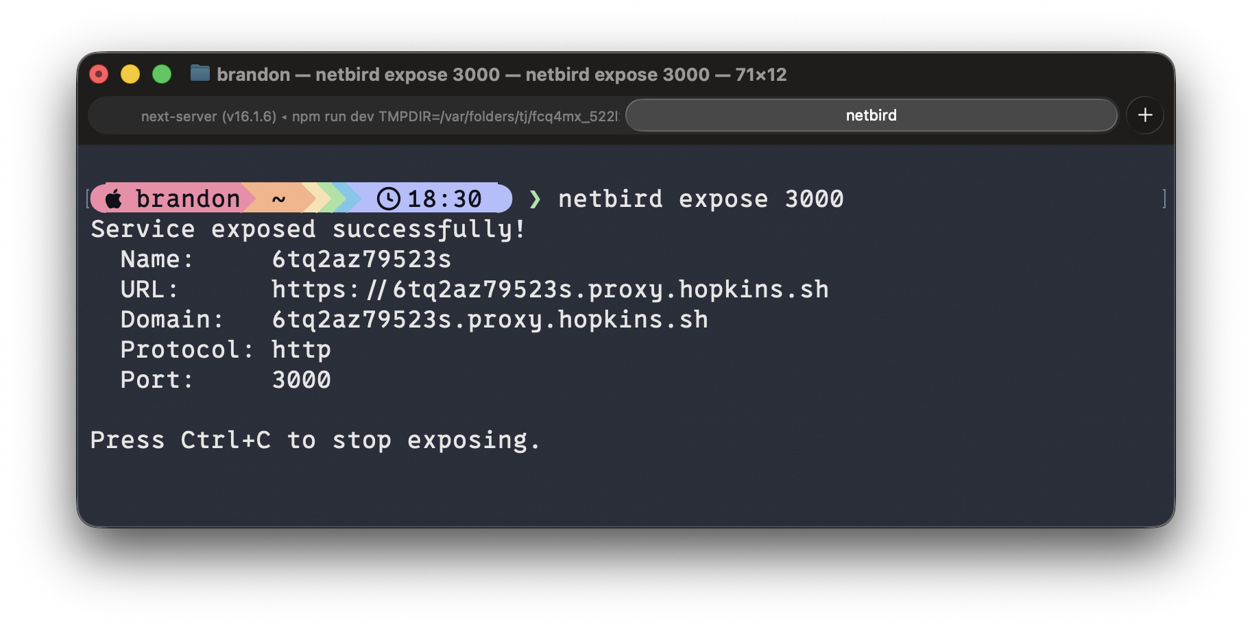 NetBird expose command
