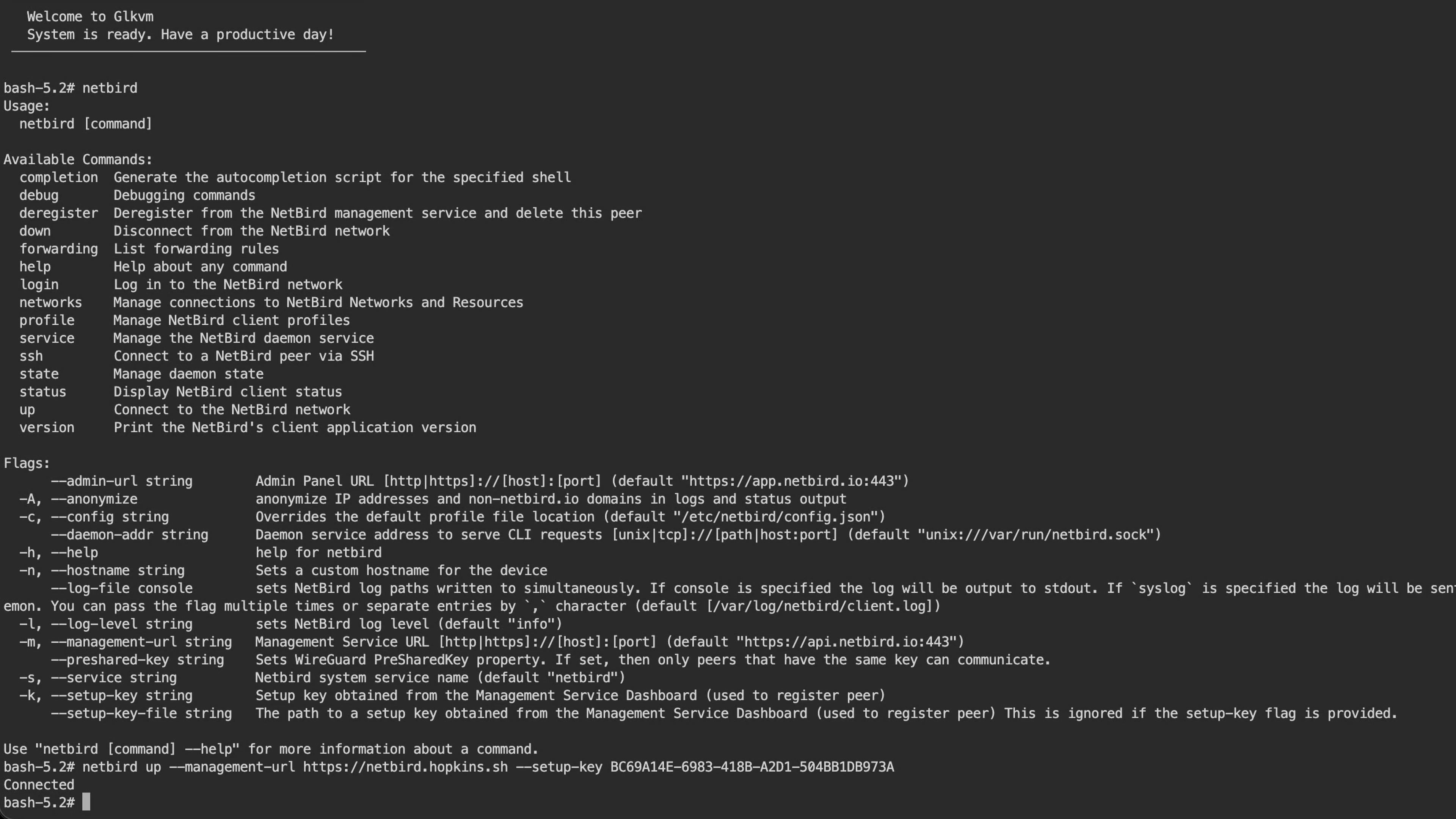 Comet Pro terminal with the NetBird install string pasted and Connected output