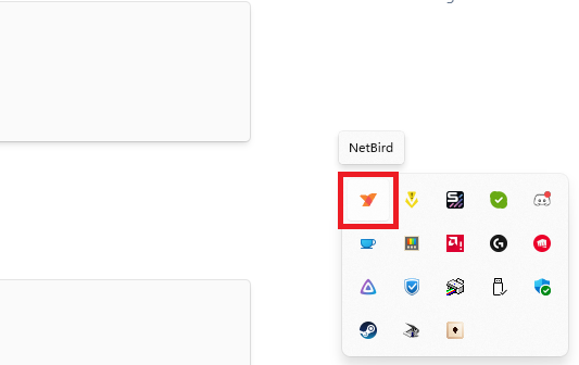 NetBird agent running on Windows