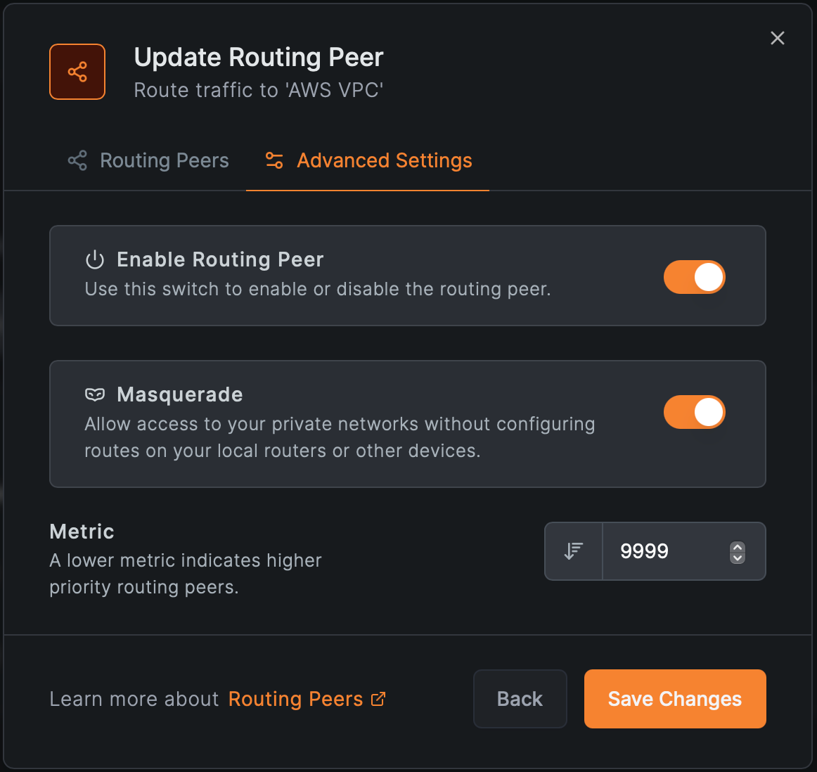 NetBird Routing Peer Advanced Settings